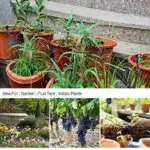 Smart Sprinkle Watering System - Image 12