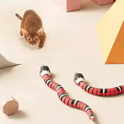 Smart Snake Toy
