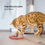 Smart Snake Toy