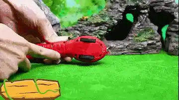 Cat Toy