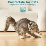 Electric Smart Amusing Collar for Cat