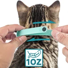 Suitable and comfortable for cats